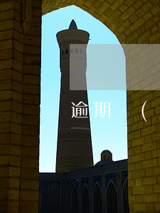 逾期網(wǎng)貸咋辦信用卡