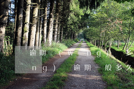 逾期網(wǎng)貸多久被起訴(網(wǎng)貸逾期一般多久會(huì)被起訴)
