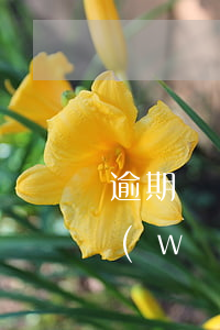 逾期網(wǎng)貸多可以辦信用卡嗎(網(wǎng)貸有逾期的可以辦信用卡嗎)