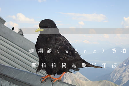 逾期網(wǎng)貸拍拍貸會上門嗎(有沒有拍拍貸逾期半年被上門催收的2020)