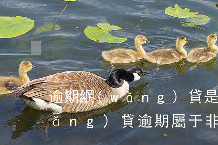逾期網(wǎng)貸是涉嫌占有嗎(網(wǎng)貸逾期屬于非法占有目的嗎)