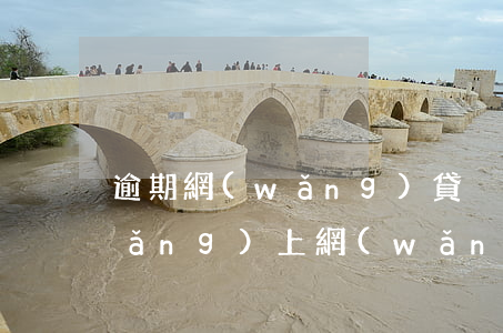 逾期網(wǎng)貸沒錢還怎么辦(網(wǎng)上網(wǎng)貸逾期了沒錢還怎么辦了)