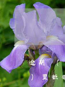逾期網(wǎng)貸軟件我能設(shè)置拒接來電嗎-逾期網(wǎng)貸軟件我能設(shè)置拒接來電嗎安全嗎