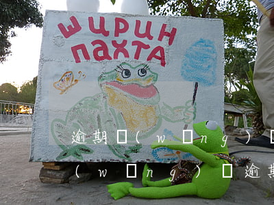 逾期網(wǎng)貸逾期怎么處理(所有網(wǎng)貸逾期怎么辦)