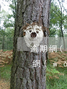 逾期網(wǎng)貸還清了該怎樣做(逾期網(wǎng)貸還清了該怎樣做)