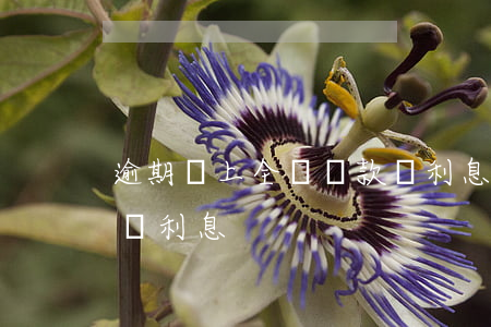 逾期線上全額還款減利息(逾期線上全額還款減利息)