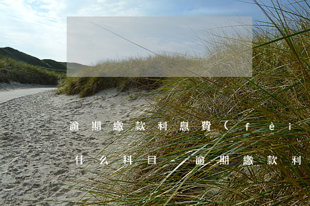 逾期繳款利息費(fèi)用計(jì)入什么科目-逾期繳款利息費(fèi)用計(jì)入什么科目里