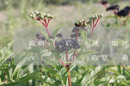 逾期繳稅后顯示未獲取到進(jìn)項(xiàng)信息-逾期繳稅后顯示未獲取到進(jìn)項(xiàng)信息怎么辦