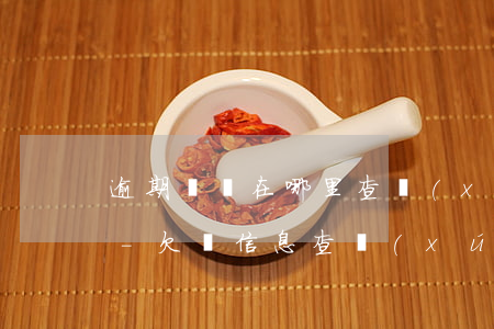 逾期繳稅在哪里查詢(xún)是否有案件-欠稅信息查詢(xún)從哪查