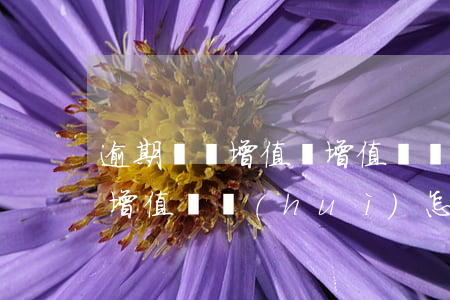 逾期繳納增值稅增值稅繳納期限-逾期繳納增值稅會(huì)怎樣