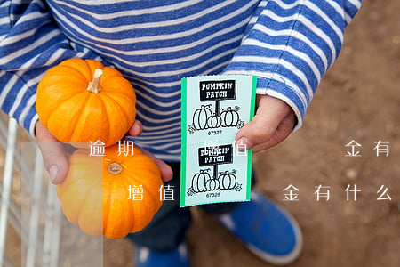 逾期繳納增值稅滯納金有什么后果-逾期繳納增值稅滯納金有什么后果嗎