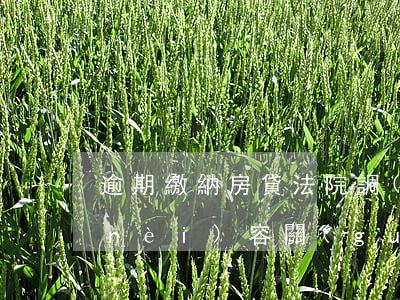 逾期繳納房貸法院調(diào)解書內(nèi)容(關(guān)于逾期履行民事調(diào)解書的規(guī)定)