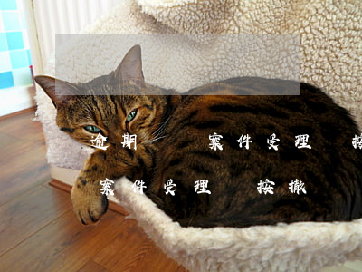 逾期繳納案件受理費按撤訴處理-逾期繳納案件受理費按撤訴處理算嗎