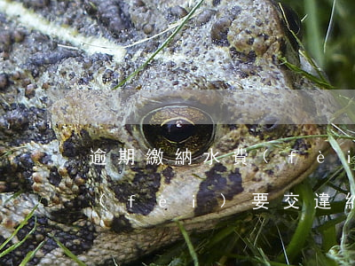 逾期繳納水費(fèi)違約金邯鄲 欠水費(fèi)要交違約金嗎