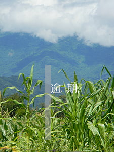 逾期繳納物業(yè)費(fèi)被起訴