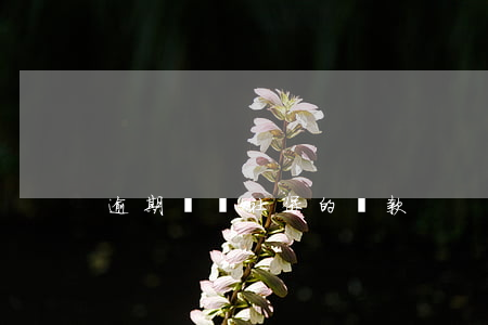 逾期繳納社保的罰款