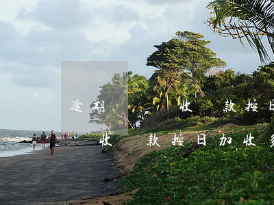 逾期繳納稅收罰款按日加收多少-逾期繳納稅收罰款按日加收多少錢