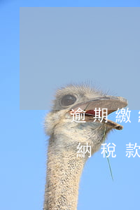 逾期繳納稅款扣多少信用等級評分-逾期繳納稅款扣多少信用等級評分的錢