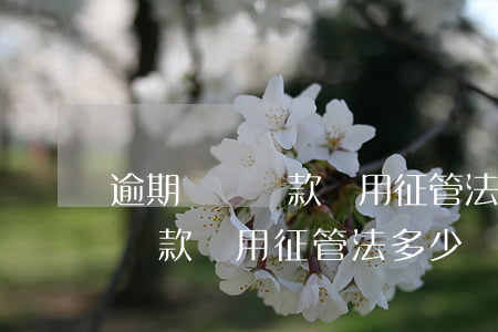 逾期繳納稅款適用征管法多少條-逾期繳納稅款適用征管法多少條規(guī)定