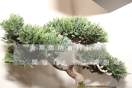 逾期繳納首付款開發(fā)商(逾期交首付開發(fā)商沒收定金)