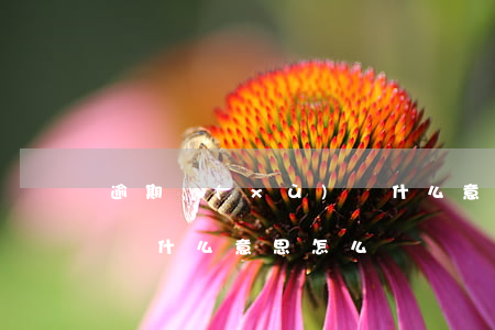 逾期續(xù)貸什么意思(逾期續(xù)貸什么意思怎么辦)