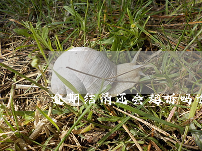 逾期结清还会起诉吗(逾期已经结清会影响吗)