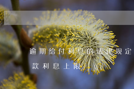 逾期给付利息的法律规定（法院支持的逾期付款利息上限）