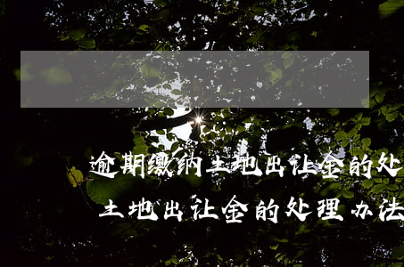 逾期缴纳土地出让金的处理办法-逾期缴纳土地出让金的处理办法是什么