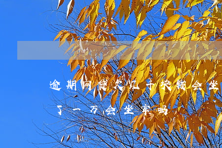 逾期网贷欠几千块钱会坐牢吗(如果网贷逾期了一万会坐牢吗)