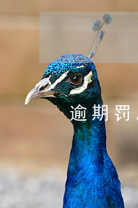 逾期罚息利率诉讼(逾期罚息利率标准判决)
