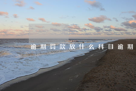 逾期罚款放什么科目(逾期罚款放什么科目里)