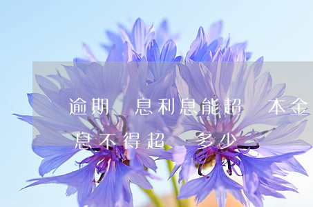 逾期罰息利息能超過本金嗎(逾期后罰息和利息不得超過多少)