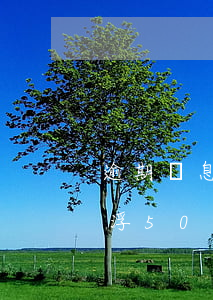 逾期罰息利率浮動(dòng)(罰息利率上浮50)