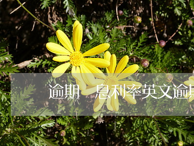 逾期罰息利率英文(逾期罰息利率英文怎么說)