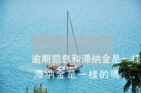 逾期罰息和滯納金是一樣的嗎-逾期罰息和滯納金是一樣的嗎