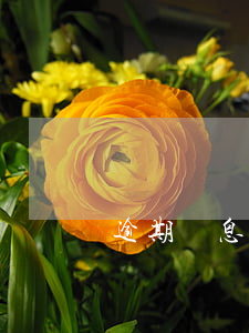 逾期罰息幅度(逾期罰息幅度怎么計算)