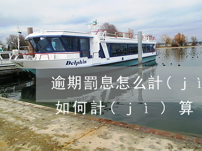 逾期罰息怎么計(jì)算（信用卡逾期罰息如何計(jì)算）