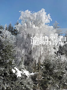 逾期罰息計算 逾期罰息計算上浮百分之三十