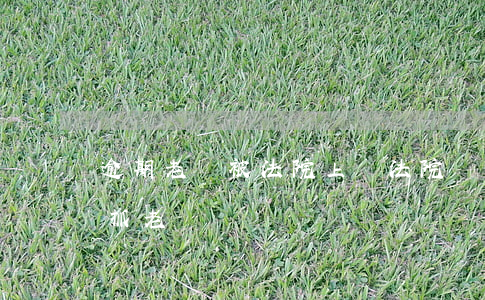 逾期老賴被法院上門(法院會(huì)上門抓老賴嗎)