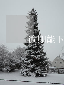 逾期能下款 逾期能下款的小額
