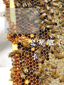 逾期能不能辦信用卡了(逾期了還能辦理信用卡嗎)