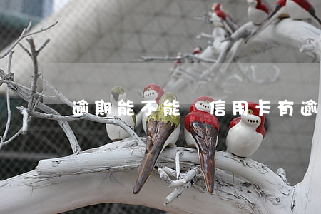 逾期能不能辦信用卡（有逾期可以辦理信用卡）