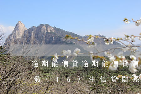 逾期能信貸(逾期能信貸信息是指個人與銀行發(fā)生信貸關系時)