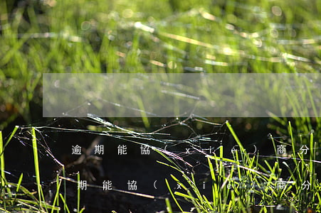 逾期能協(xié)商分期還款嗎-借唄逾期能協(xié)商分期還款嗎