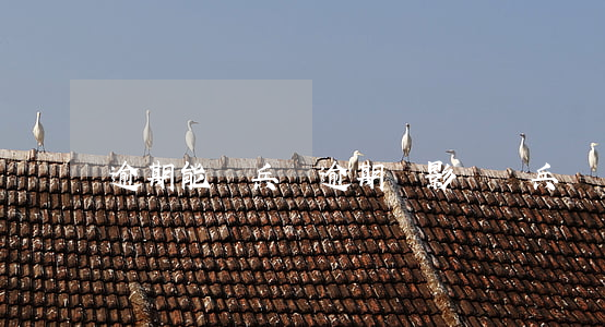 逾期能參兵嗎(逾期會影響當兵嗎)