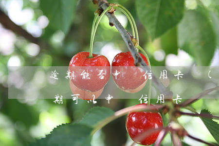 逾期能否申請信用卡(當(dāng)前有逾期可以申請信用卡嗎)