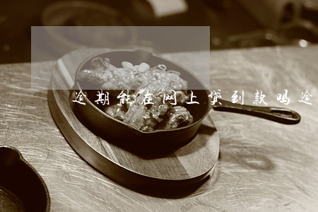 逾期能在网上贷到款吗(逾期可以网贷吗)