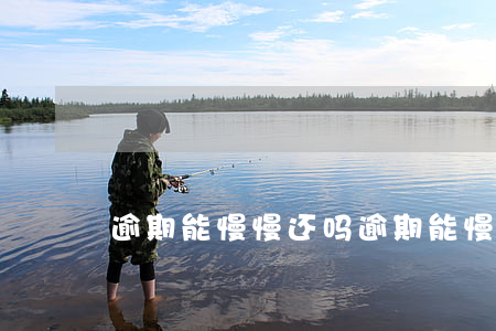 逾期能慢慢还吗(逾期能慢慢还吗)
