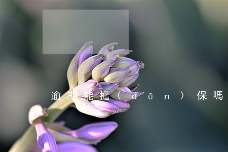 逾期能擔(dān)保嗎