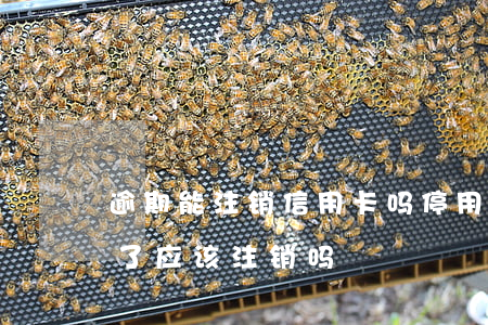 逾期能注销信用卡吗(停用的信用卡逾期还完了应该注销吗)